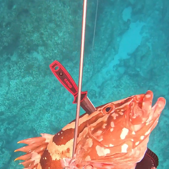 4" FREEDIVING KNIFE