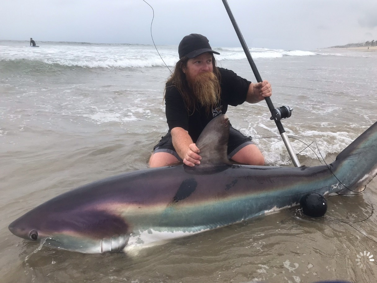 LBSF Shark Fishing Float Rig Kit (Kayak Deployed) - 60' 600lb Mono and 12' 800lb Cable